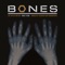 Bones Theme (Tocadisco Remix) - The Crystal Method lyrics