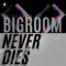 Bigroom Never Dies - Aritra Kumar lyrics