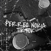 Perreo Nokia Tiktok (Remix) artwork