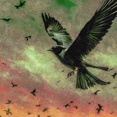 Birds in Flight - Single