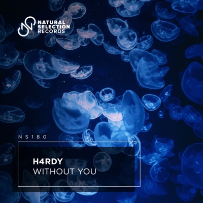 Without You - Single