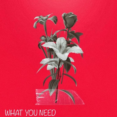 What You Need - Single