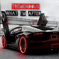 What I'M After - Single - TREMENDOUS