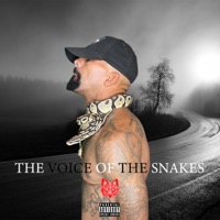 The Voice of the Snakes - Single - Desert Dog