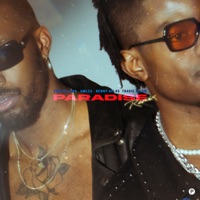 Paradise (Remix) [feat. Benny Atlas] - Single - This is Lema, Travis Allen & Hmlss