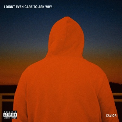 I Didn't Even Care To Ask Why