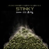 Stinky (feat. KTC Ceo, Yung Trell & GGE Rello) - Single