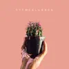 Rytmeklubben - Like That