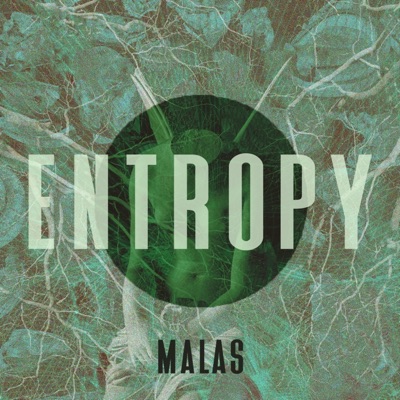 Entropy - Single