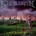 Youthanasia album cover