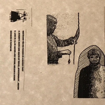 Wilted Pansies In a Broken Vase