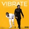 Vibrate (feat. Timaya) - DJ Xclusive lyrics
