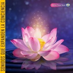Sonidos que Expanden La Conciencia / RELAX YOUR SOUL (Full Álbum)