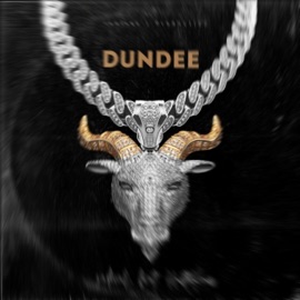 ANII GREI (feat. Braco) radicaL.