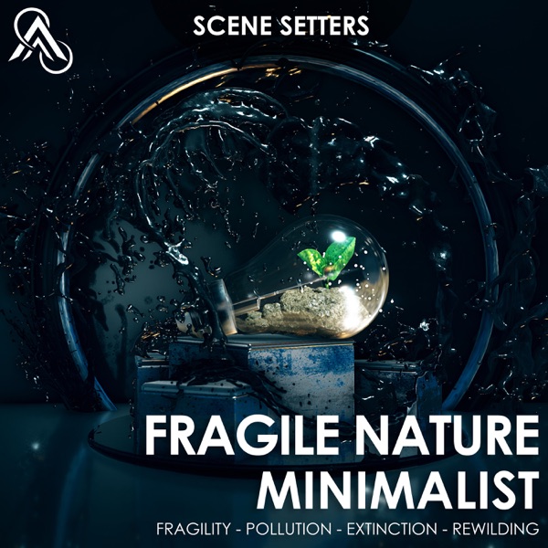 Fragile Nature - Minimalist Orchestral