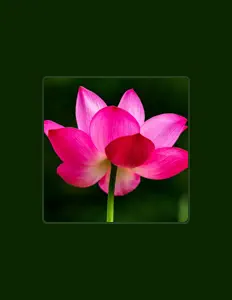 Dengarkan Phoenix Morris, tonton video musik, baca bio, lihat tanggal tur & lainnya!