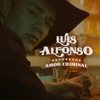 Amor Criminal - Single