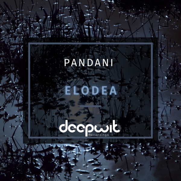 Elodea - EP