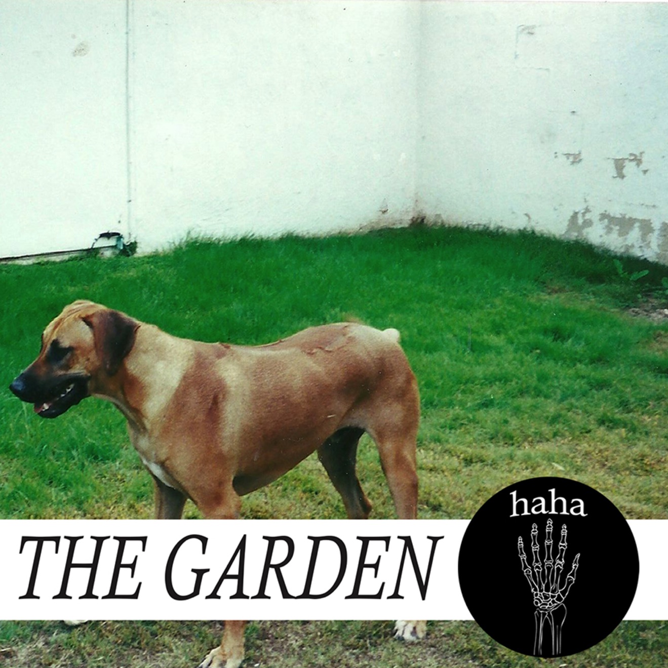 The Garden – Haha (2015) [iTunes Match M4A]