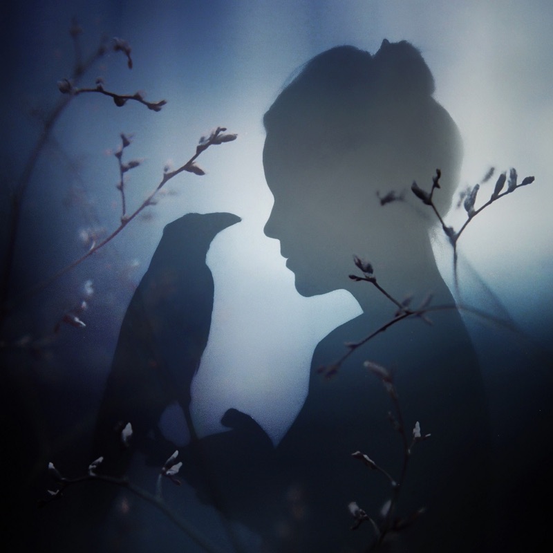 Gifts from Crows