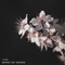 Mono No Aware - Vindu lyrics