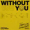 Without You