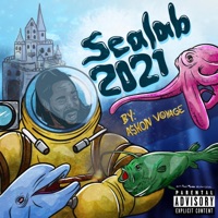 Sealab 2021 - Single - A$hon Voyage