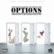 Options (feat. Ceddy Bo, Omega Crosby & Fresh) - Holliewood King lyrics