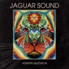 Jaguar Sound