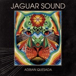 Adrian Quesada - Starry Nights (feat. Neal Francis)