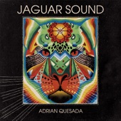 Adrian Quesada - Fireflies (feat. Neal Francis)