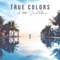 True Colors (feat. Daniel Robinson) - ConKi lyrics