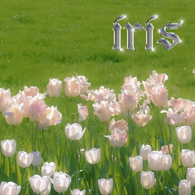 Iris - Single