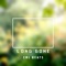 Long Gone - CNL Beats lyrics