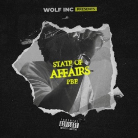 State of Affairs PBE