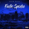 Feelin' Spodee - Single