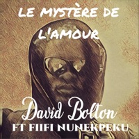 Le mystère de l'amour (feat. Fiifi Nunekpeku) - Single - David Bolton