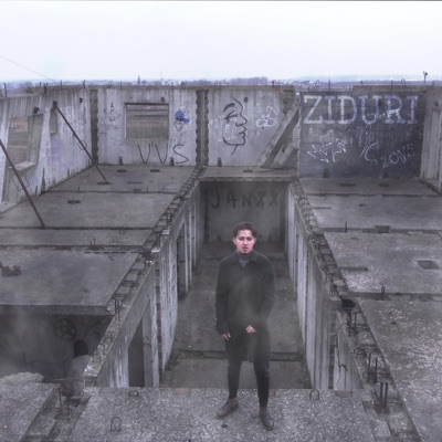 ZIDURI (feat. VVS) - Single