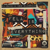 Fela Is Everything (Dub Mix) artwork