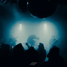 收听 We Struck Gold、观看音乐视频、阅读小传、查看巡演日期等 ！