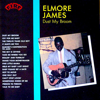 Shake Your Money Maker - Elmore James