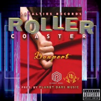 Roller Coaster - Single - Donpert