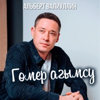 Гомер агымсу - Single - Альберт Валиуллин