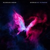 William Black - Butterflies (feat. Dia Frampton)