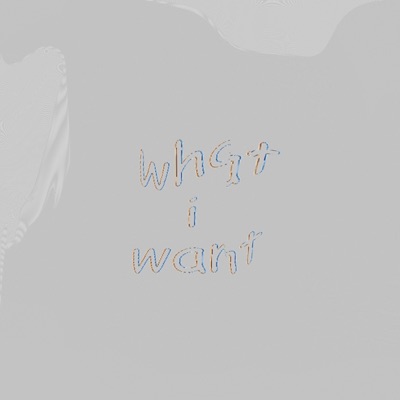 What I Want - Single