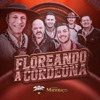 Floreando a Cordeona - Single - Grupo Manotaço