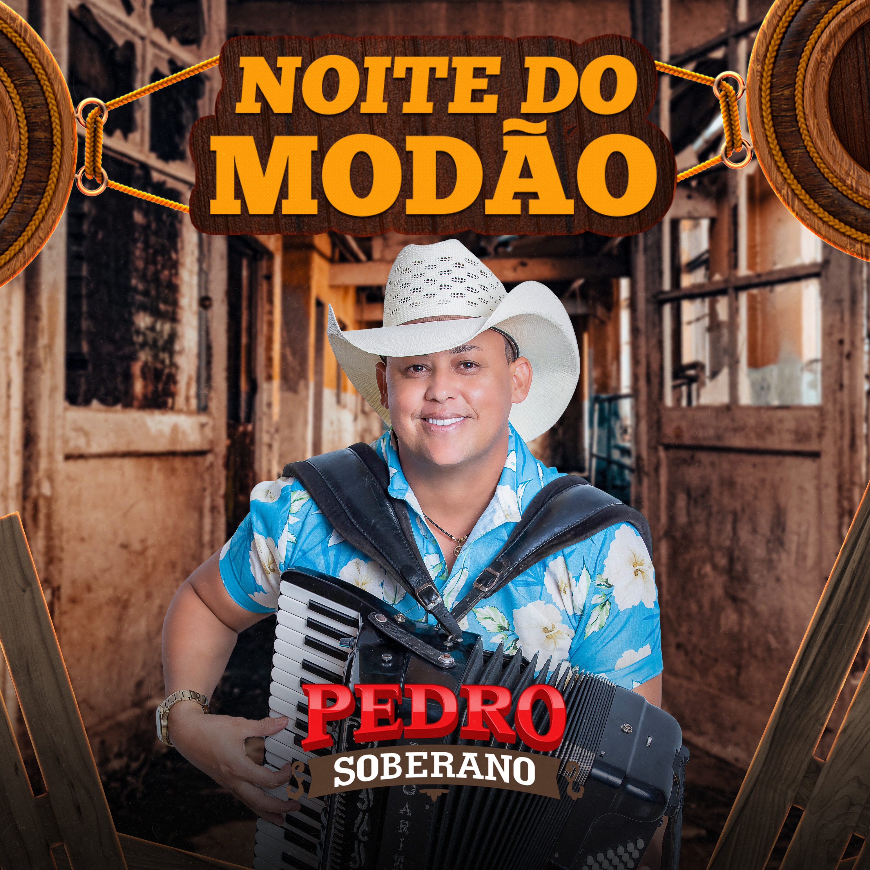 Noite do Modão (Ao Vivo) - Single