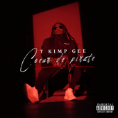 cœur de pirate cover