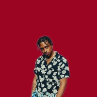 Going up - Single - Taller Dan