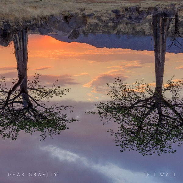 If I Wait - Single